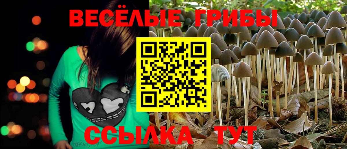 Псилоцибиновые грибы Magic Shrooms  Вход с VPN  Златоуст 